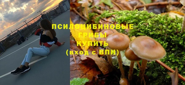 СК Алексеевка